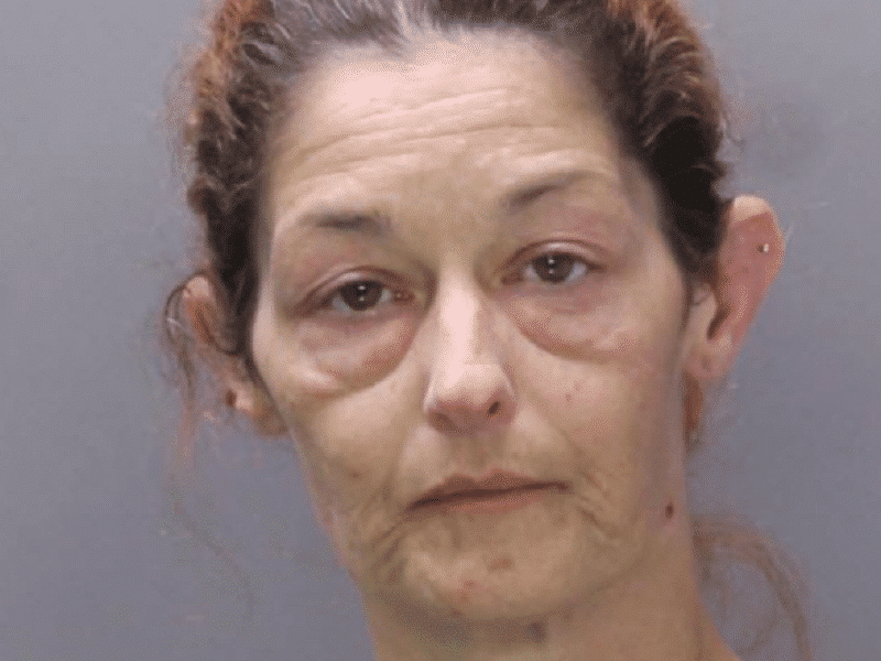 Jennifer Udell Stolen Allergy