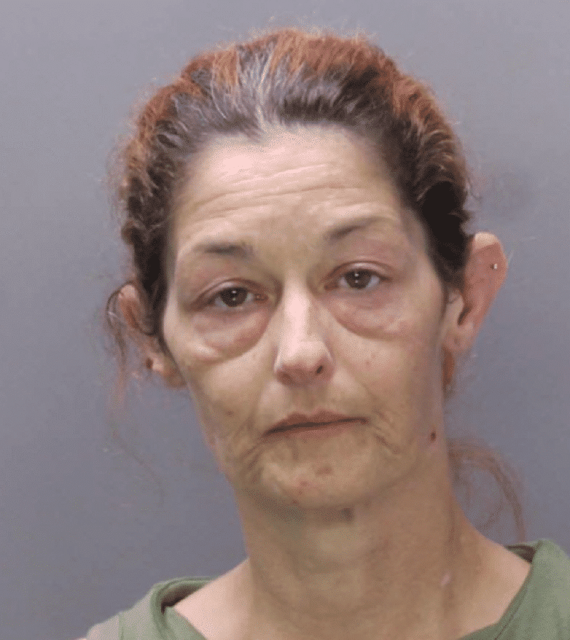 Jennifer Udell Stolen Allergy