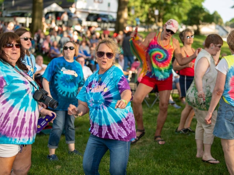 Large Flowerheads Concert Park