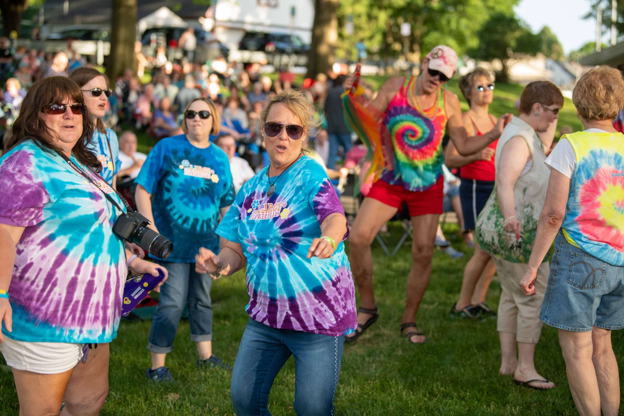Large Flowerheads Concert Park