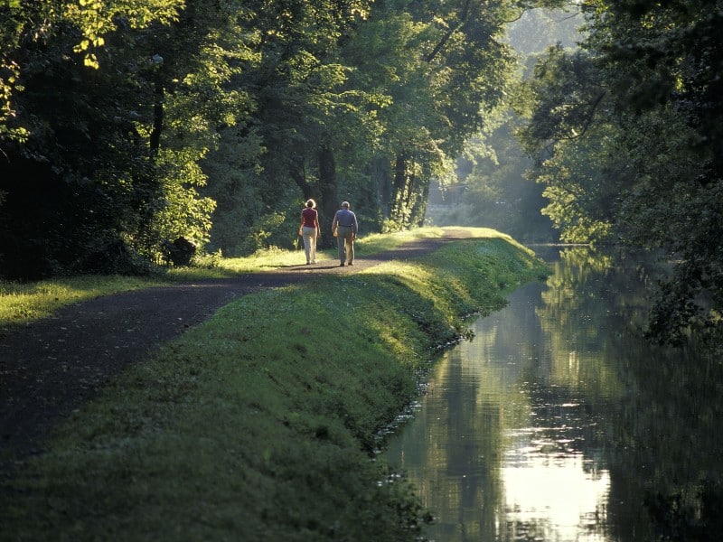 Trail