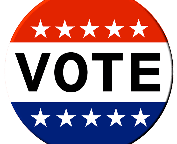 vote primary election voters