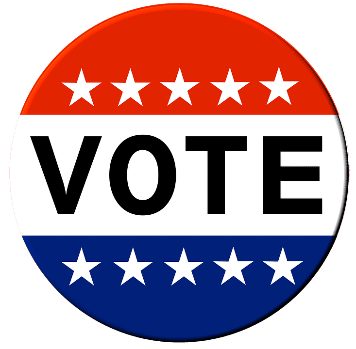 vote primary election