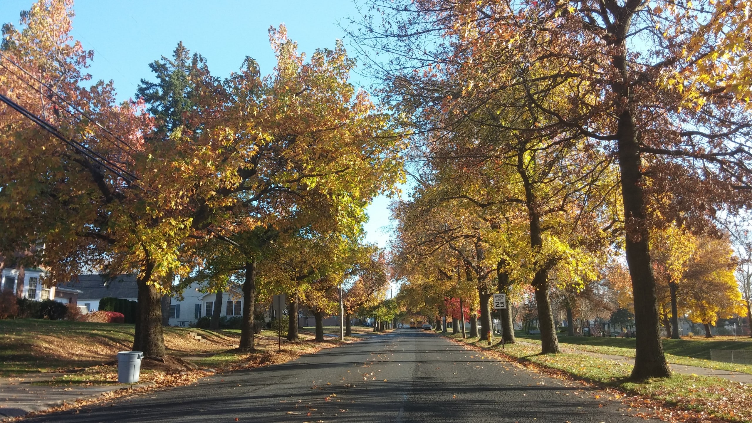Constitution Avenue streets