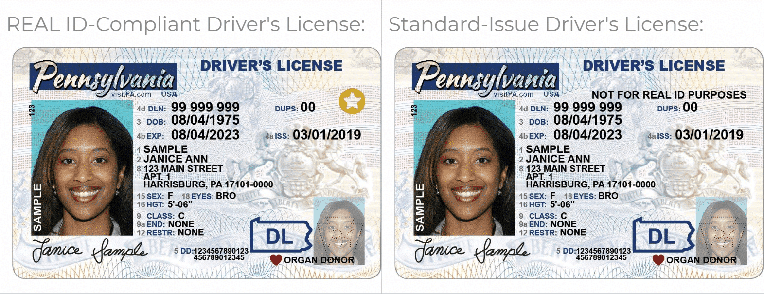 Real ID Sample