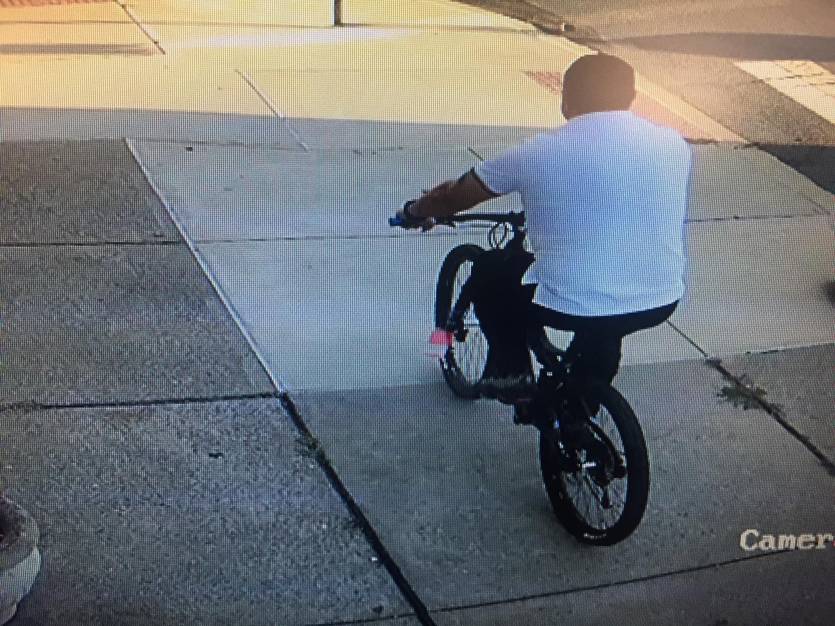 Stolen Bicycle