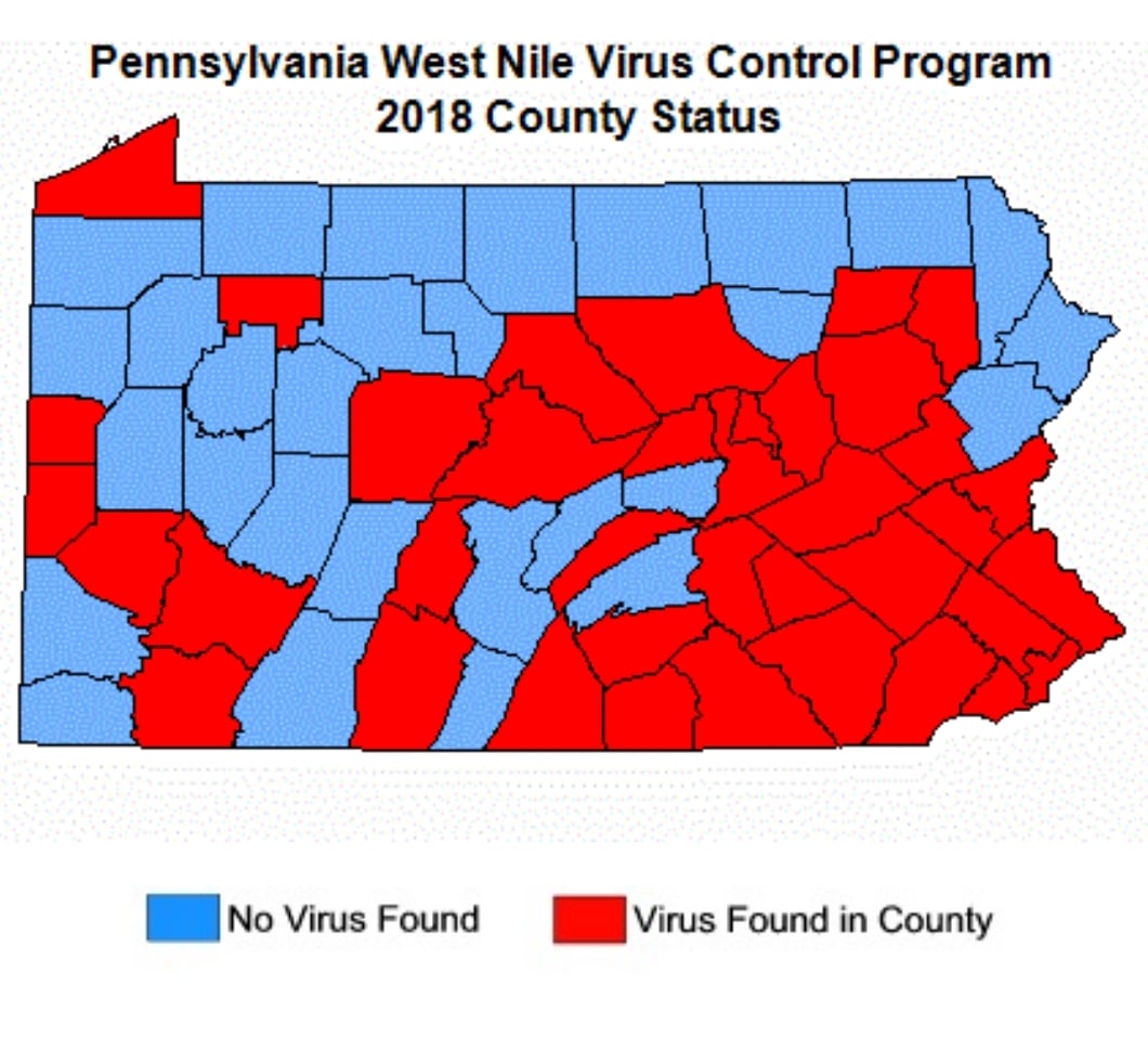 west nile virus