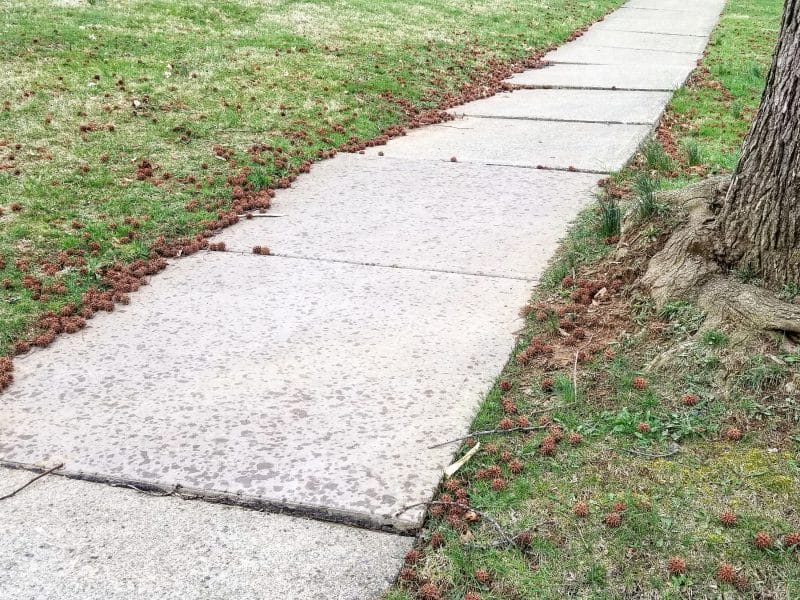 Sidewalk