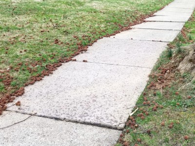 Sidewalk