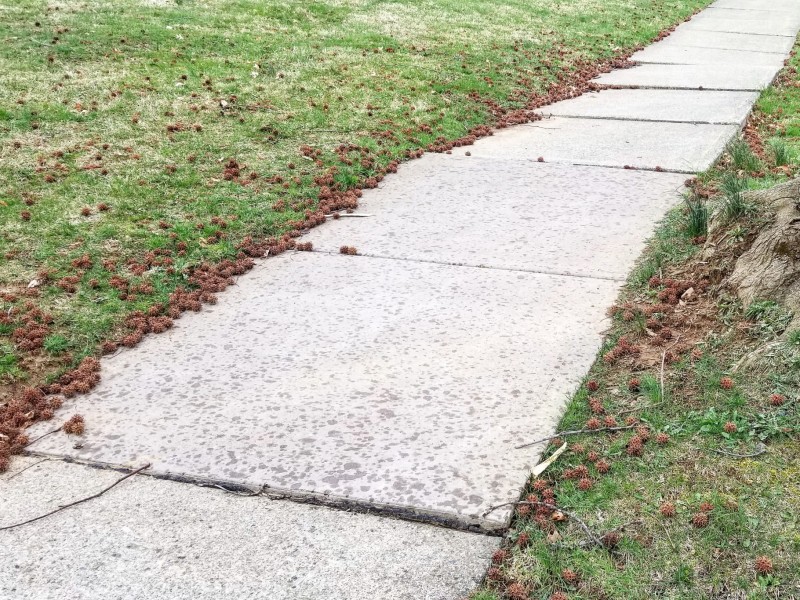 Sidewalk