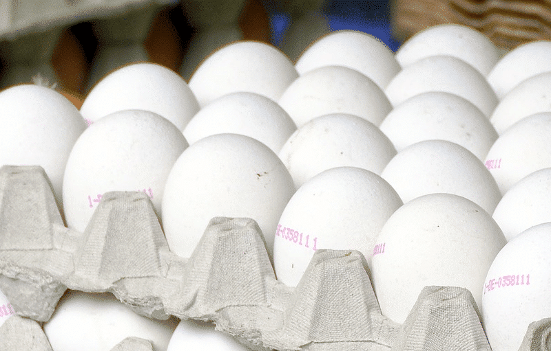 Eggs Egging Police