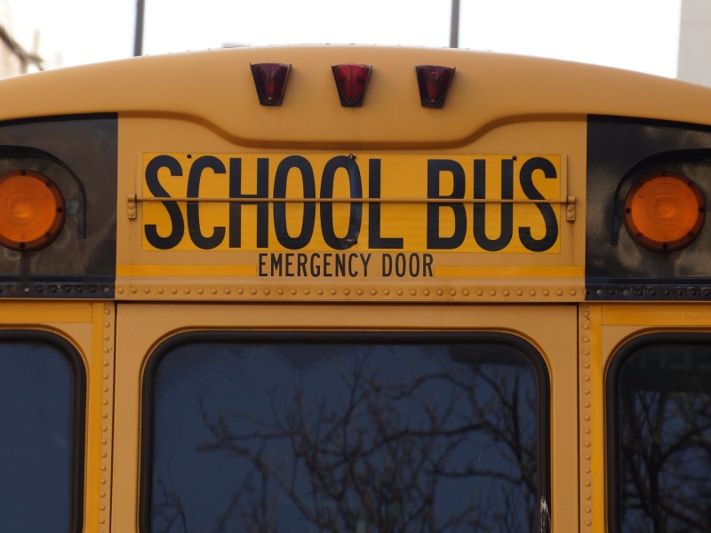 schools buses