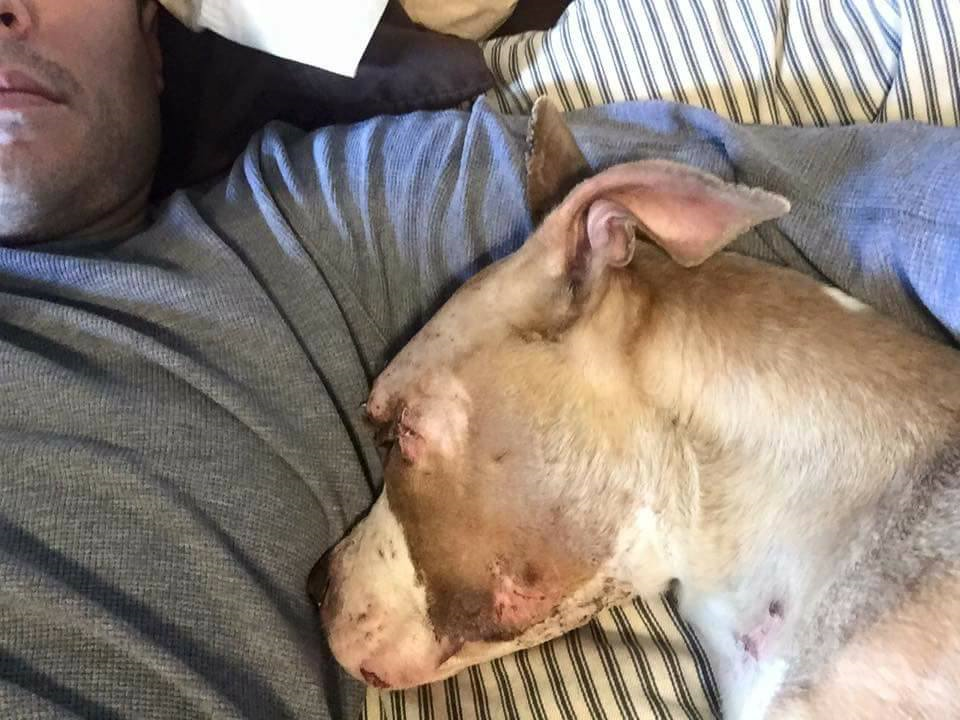 Sally has been described as a 'lovebug.'
