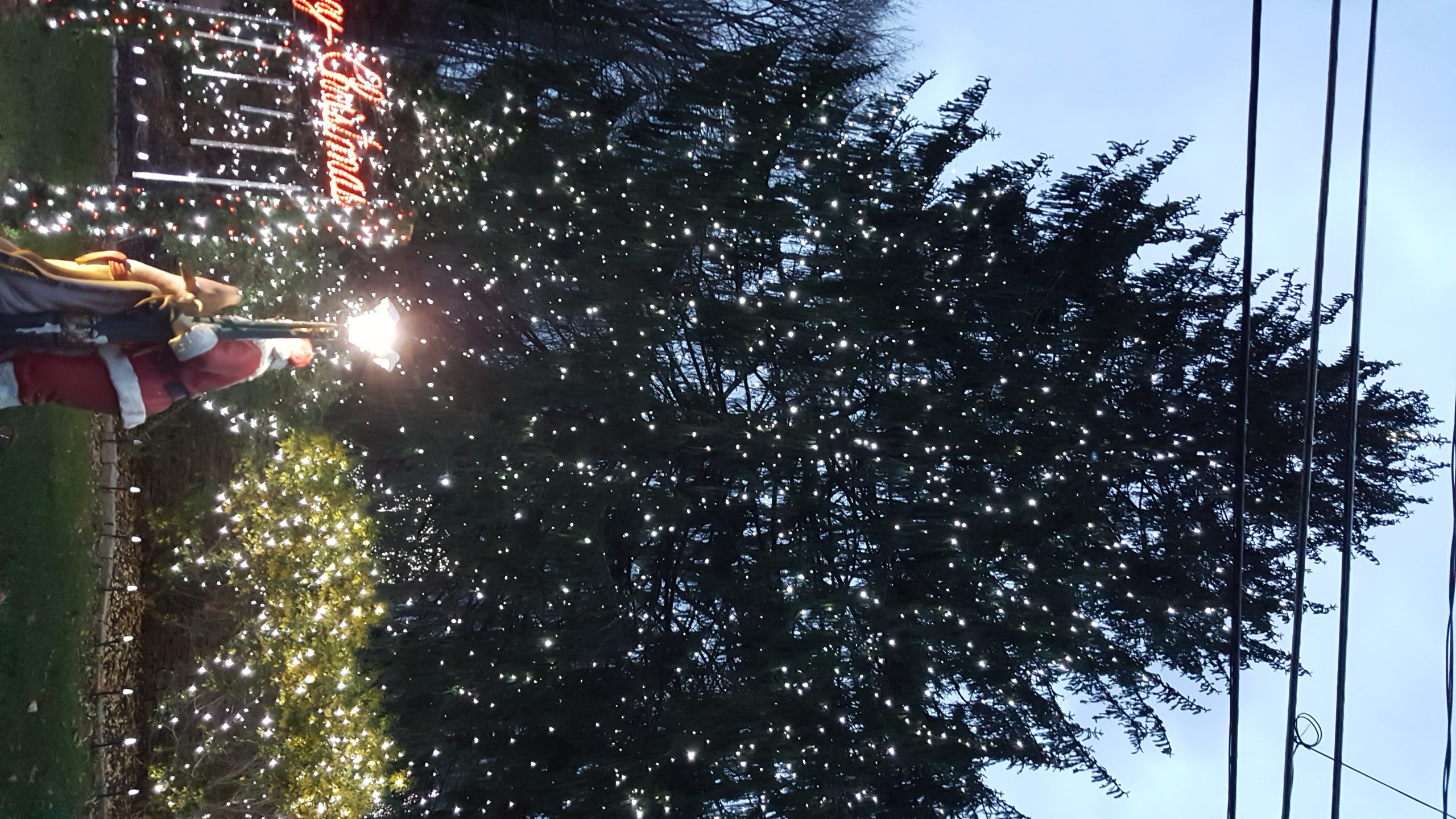 20161203_164646
