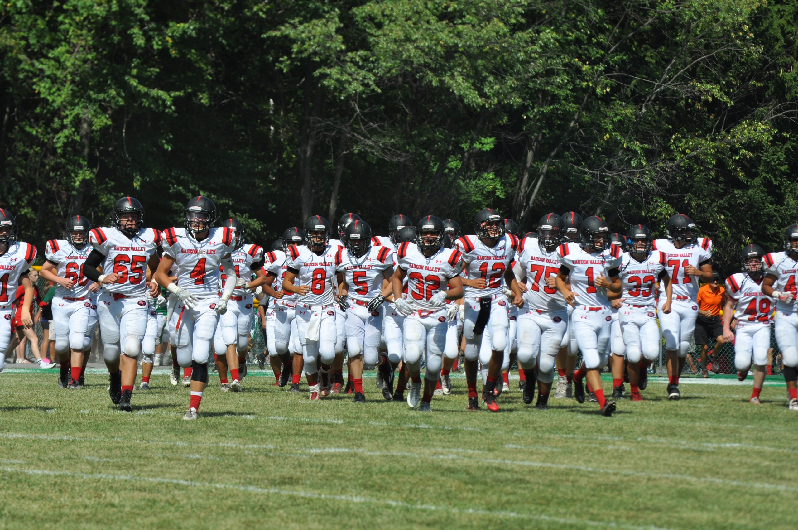 A pack of disgruntled Panthers take the field against Pen Argyl.