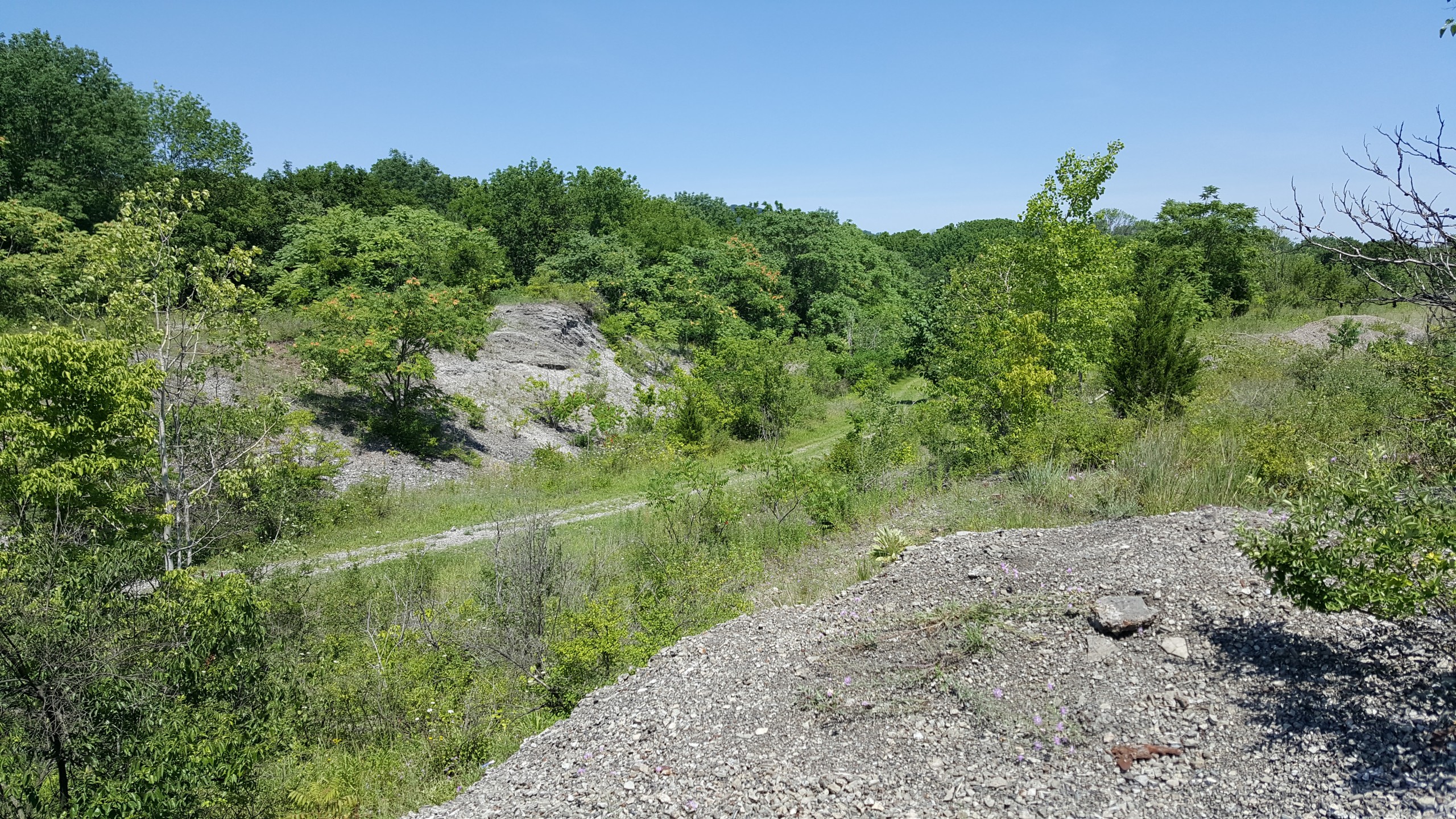 20160721_114754