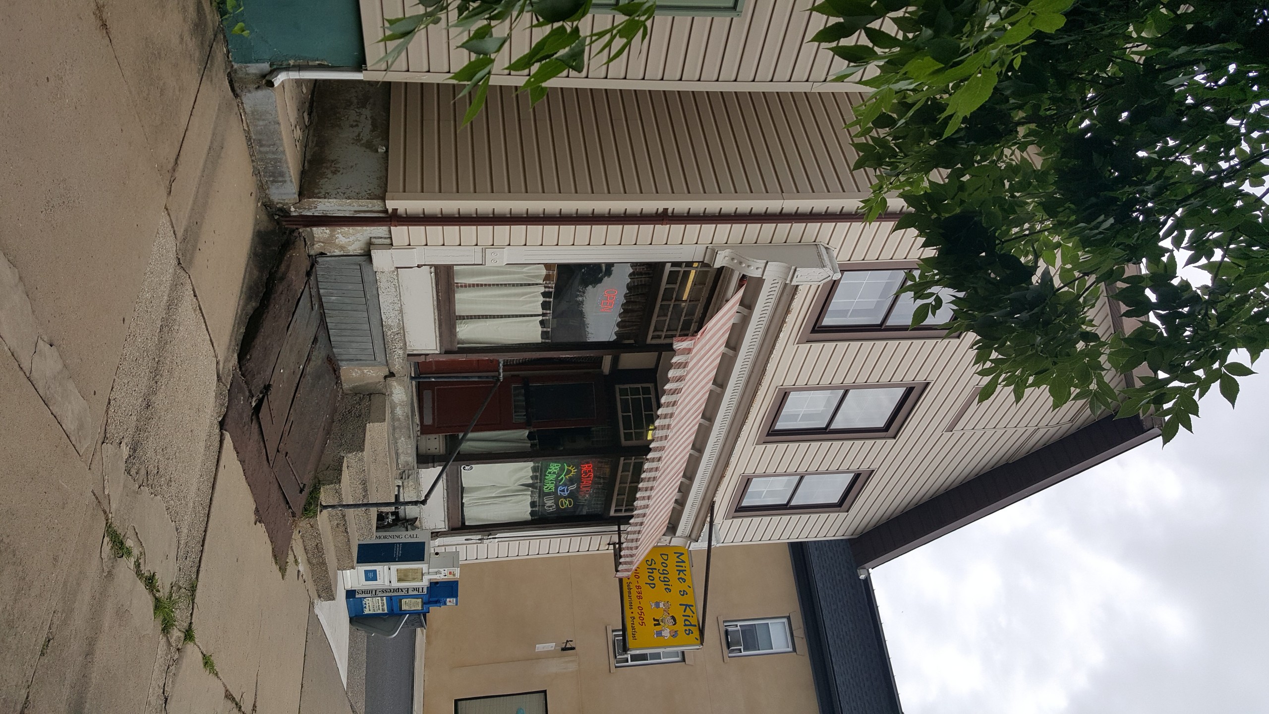 Mike's Kids Doggie Shop owner Janice Repynek told the Hellertown Planning Commission she wants to replace the awning on the front of her building and paint the parts of it not covered by siding. Bilco doors would also be repaired.