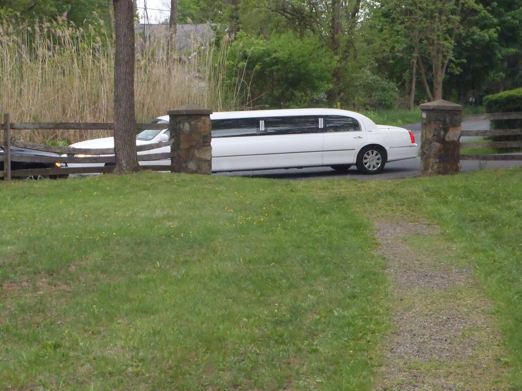 A limousine arrives with members of the Kingston-Gebhard wedding party