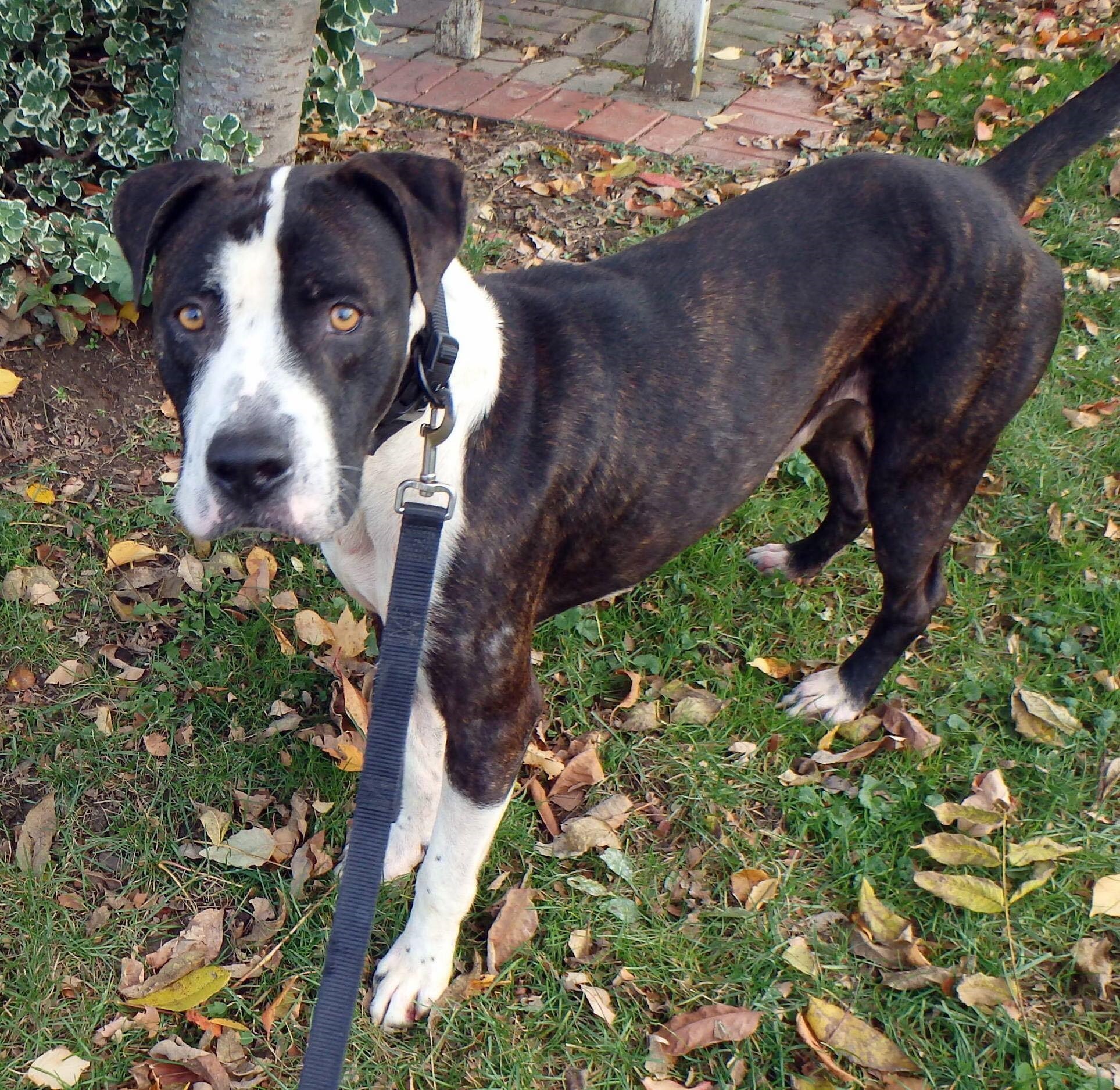 Zeus2