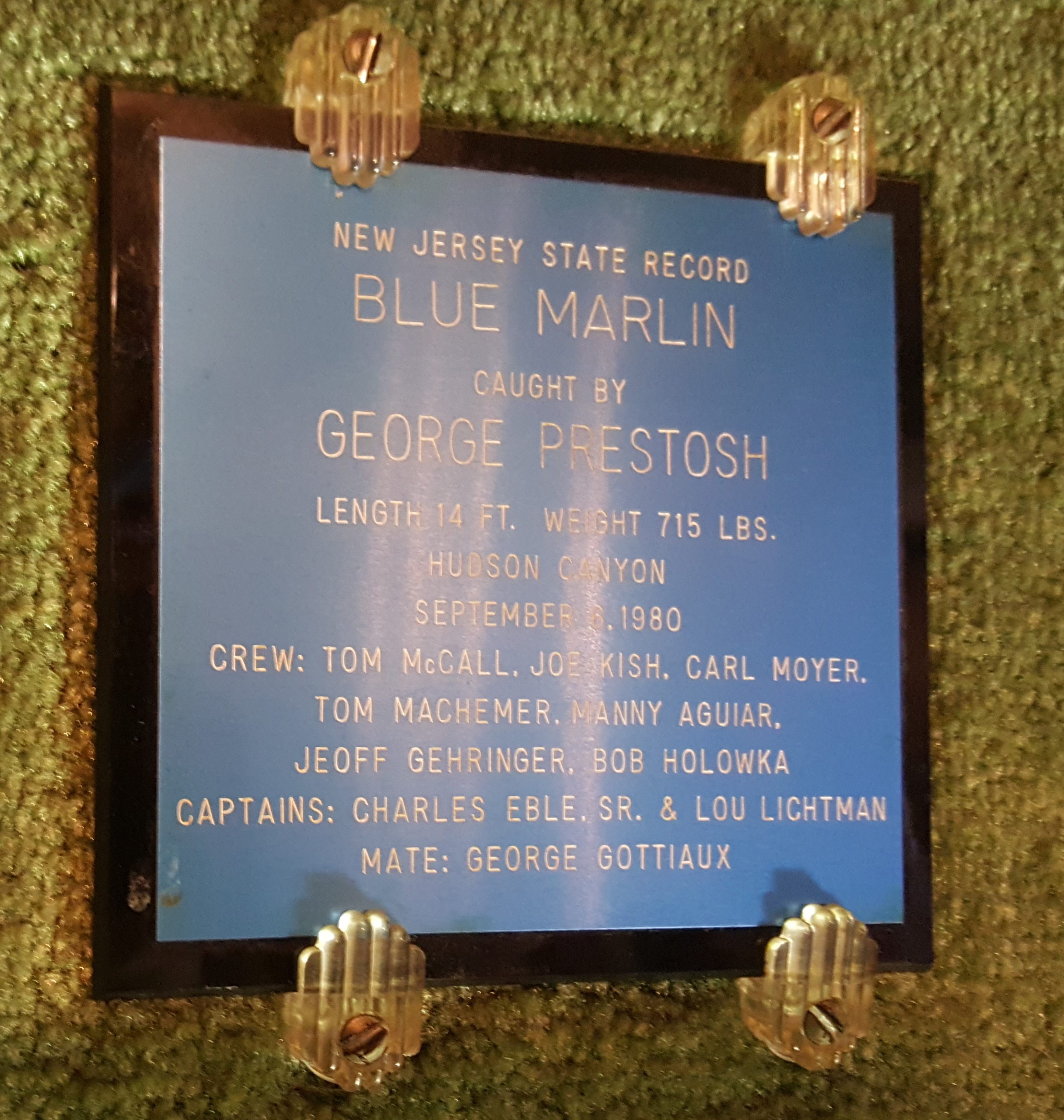 A plaque next to the mounted blue marlin inside Hellertowns Crossroads Hotel documents its history. The fish was caught in Hudson Canyon off the New Jersey coast on Sept. 8, 1980. Crew member Manny Aguiar recalled that the lucky fishing excursion had been rescheduled several times due to bad weather. George Prestosh reeled in the record-setter.
