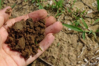 soil-918006_1920