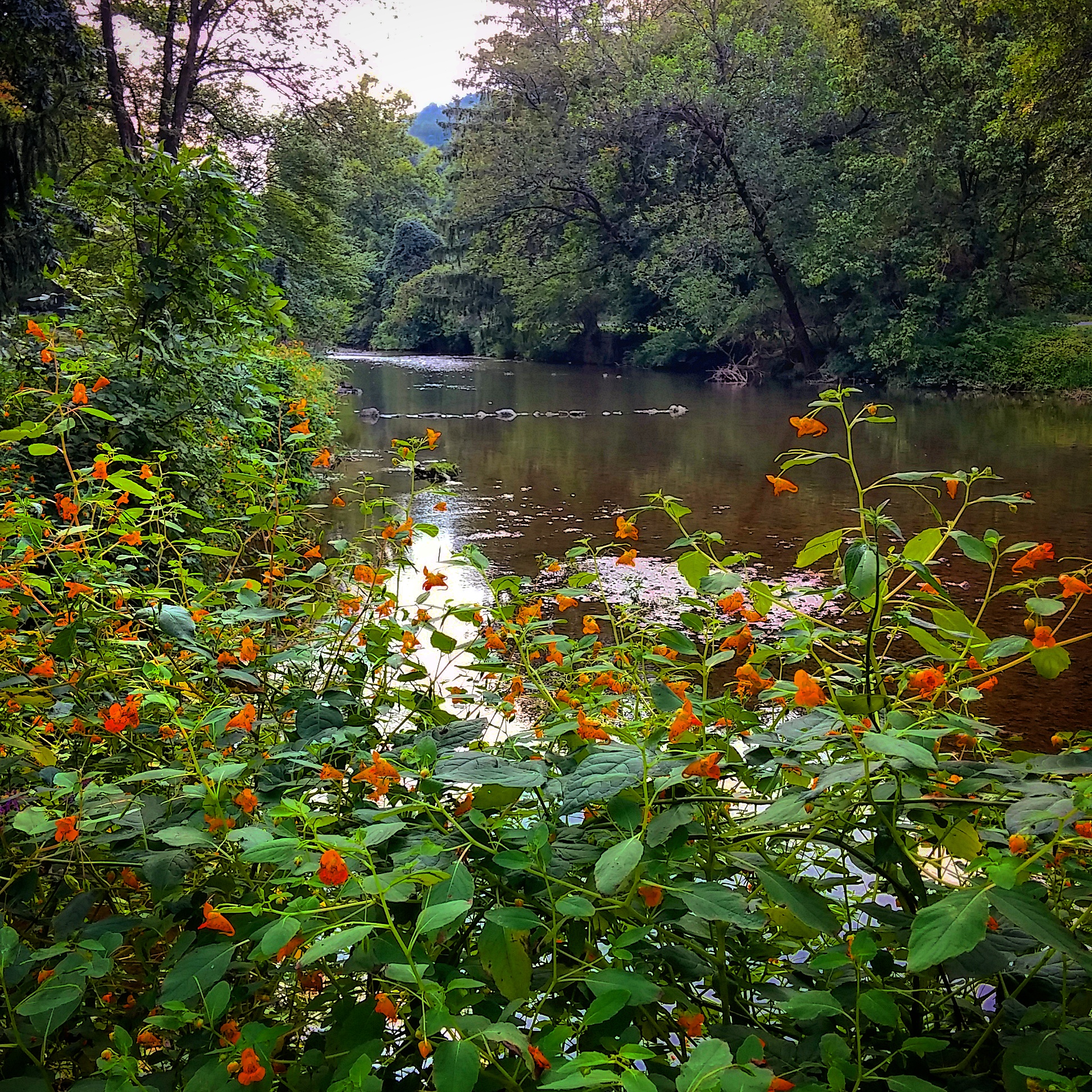 The Saucon Creek (FILE PHOTO)