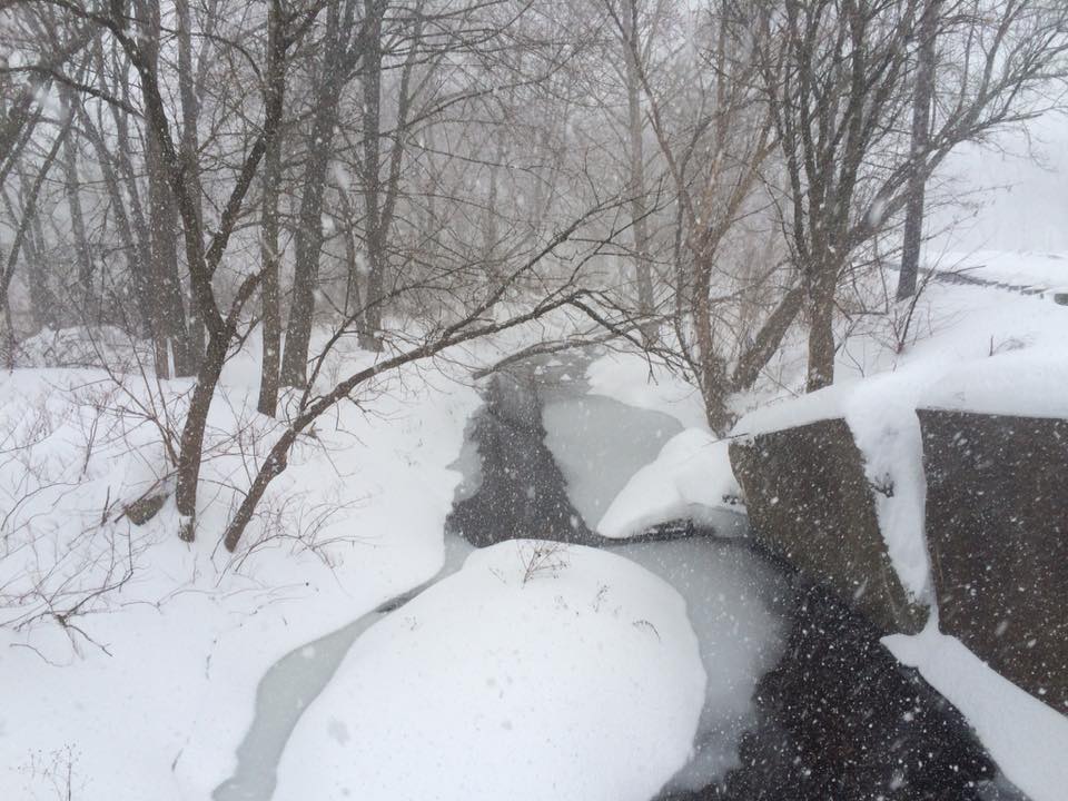 Ice-clogged waterways slowed to a trickle