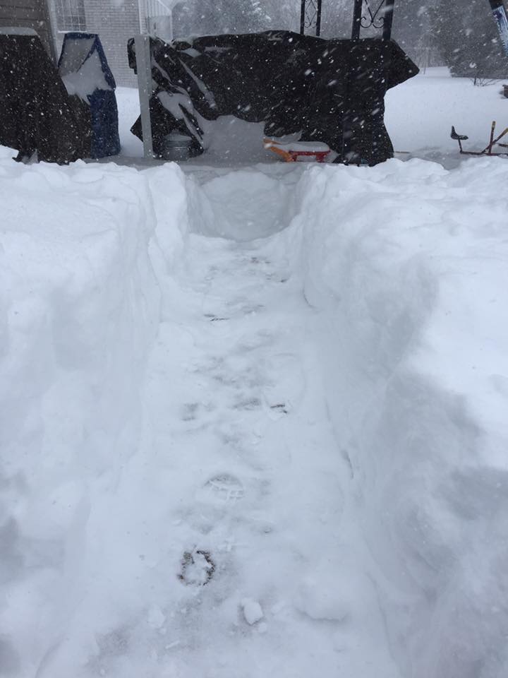 Just clearing a modest path was a major undertaking.