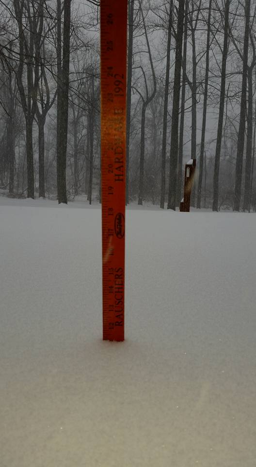 Rose Lane, Lower Saucon Township