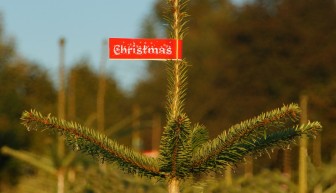 christmas-991807_1280