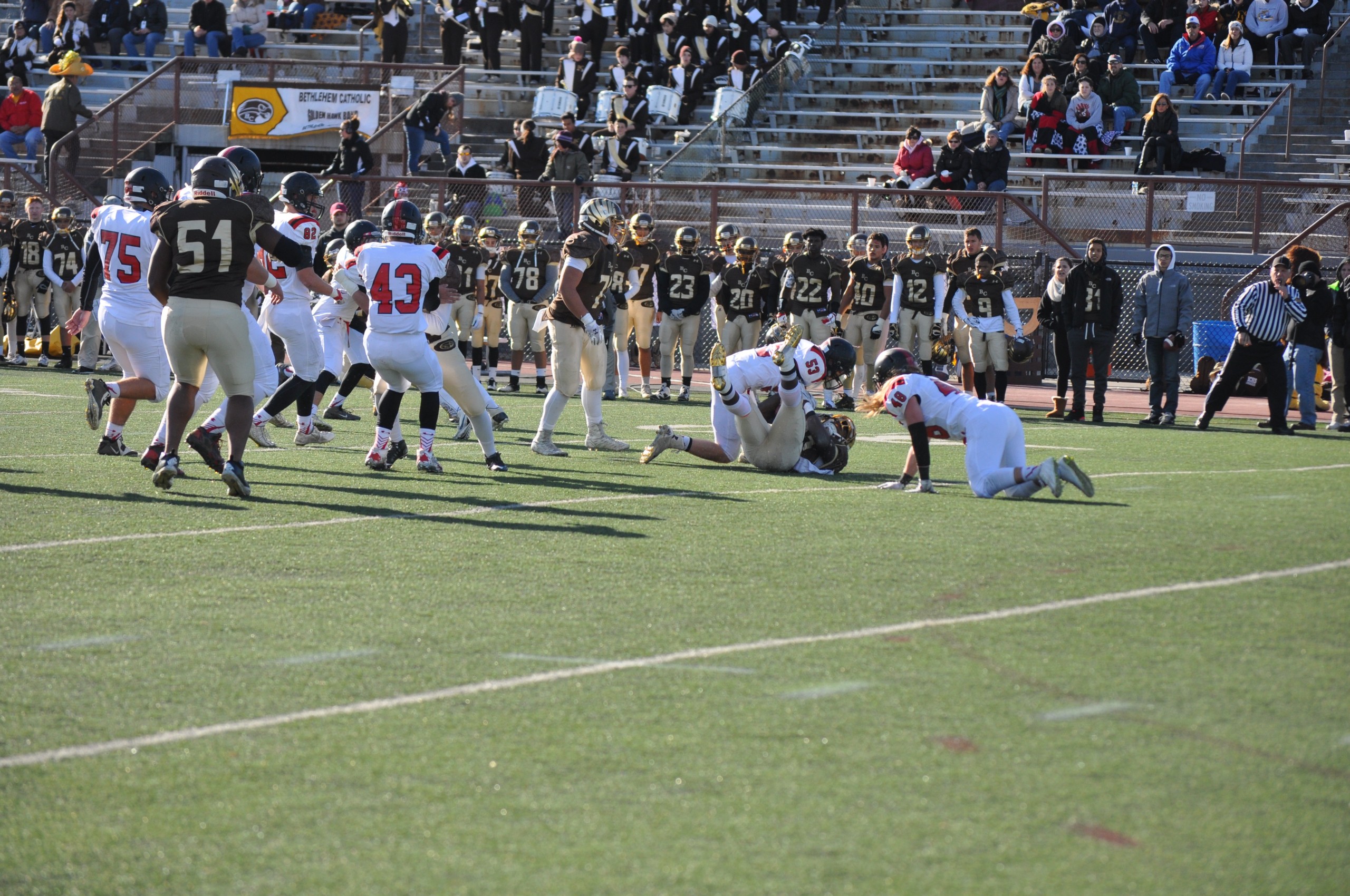 Panthers pounded the Hawks all game long