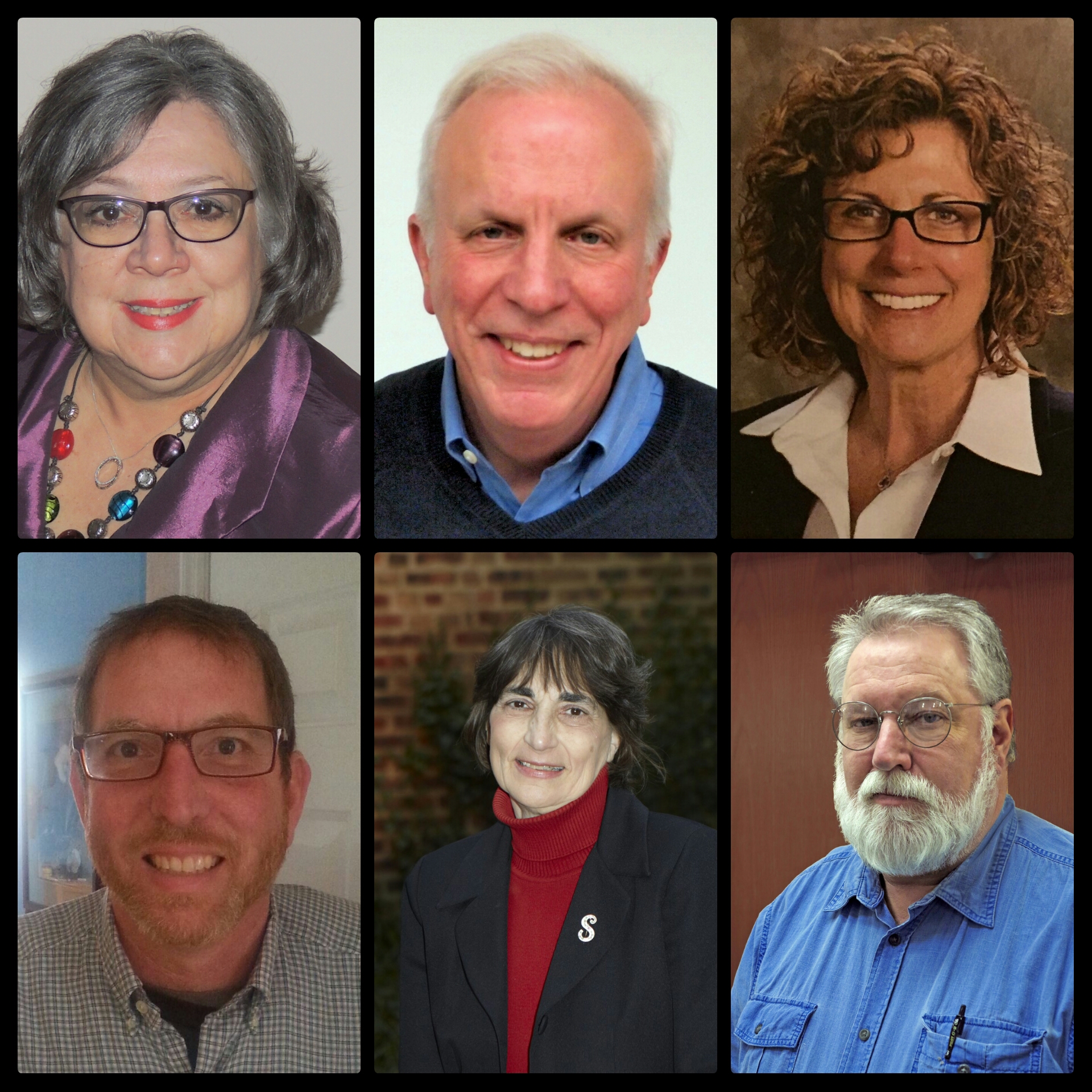 Pictured, clockwise from upper left are Lower Saucon Township Council candidates: Priscilla deLeon (D-I), David Willard (D-I), Donna Louder (R), Tom Maxfield (R-I), Sandra Yerger (R) and Gary Gorman (D).