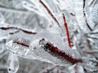 ice-591133_1280