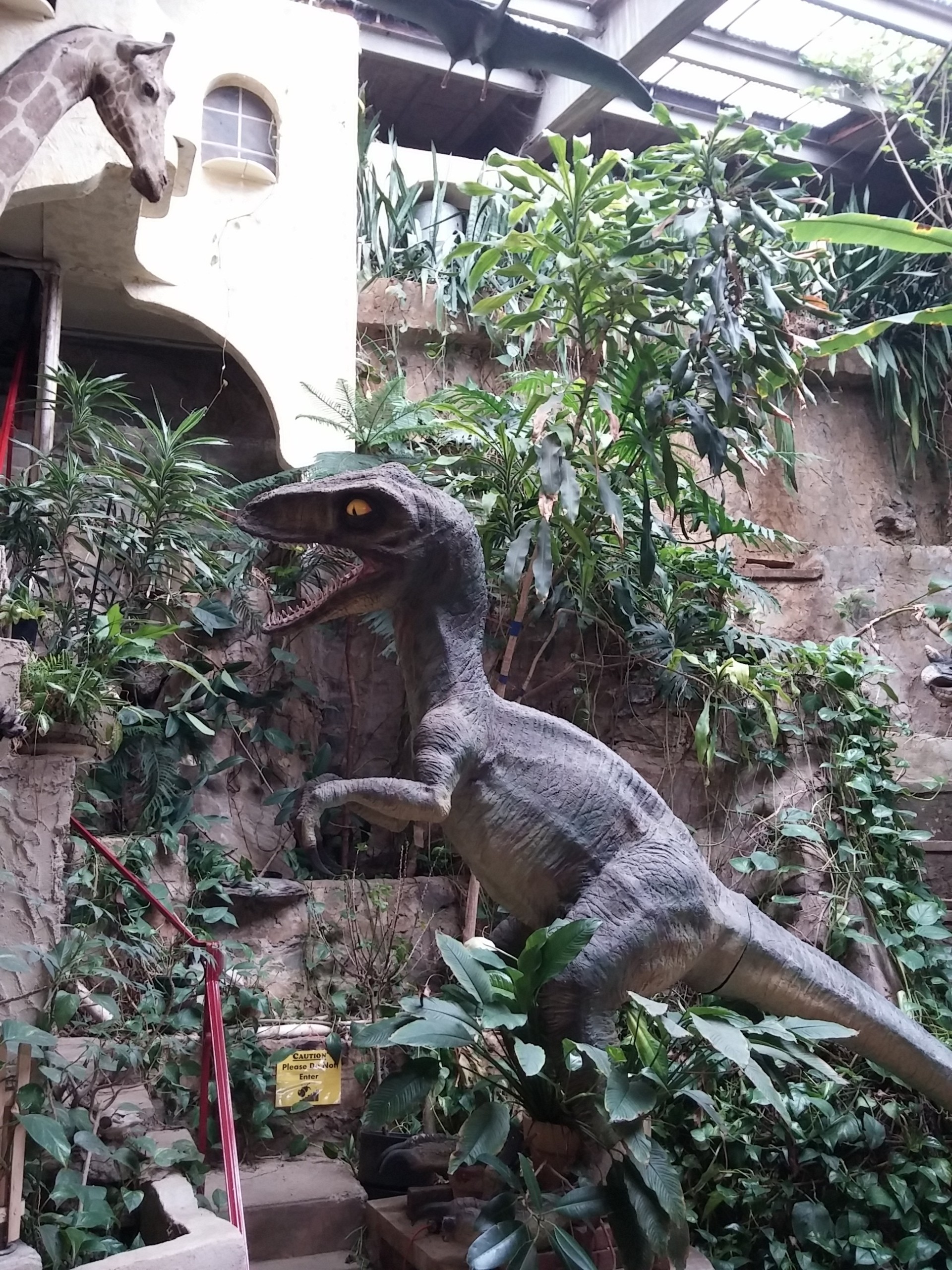 One of the most iconic parts of Lost River Caverns is its lobby area, which features a lush tropical garden and dinosaurs.