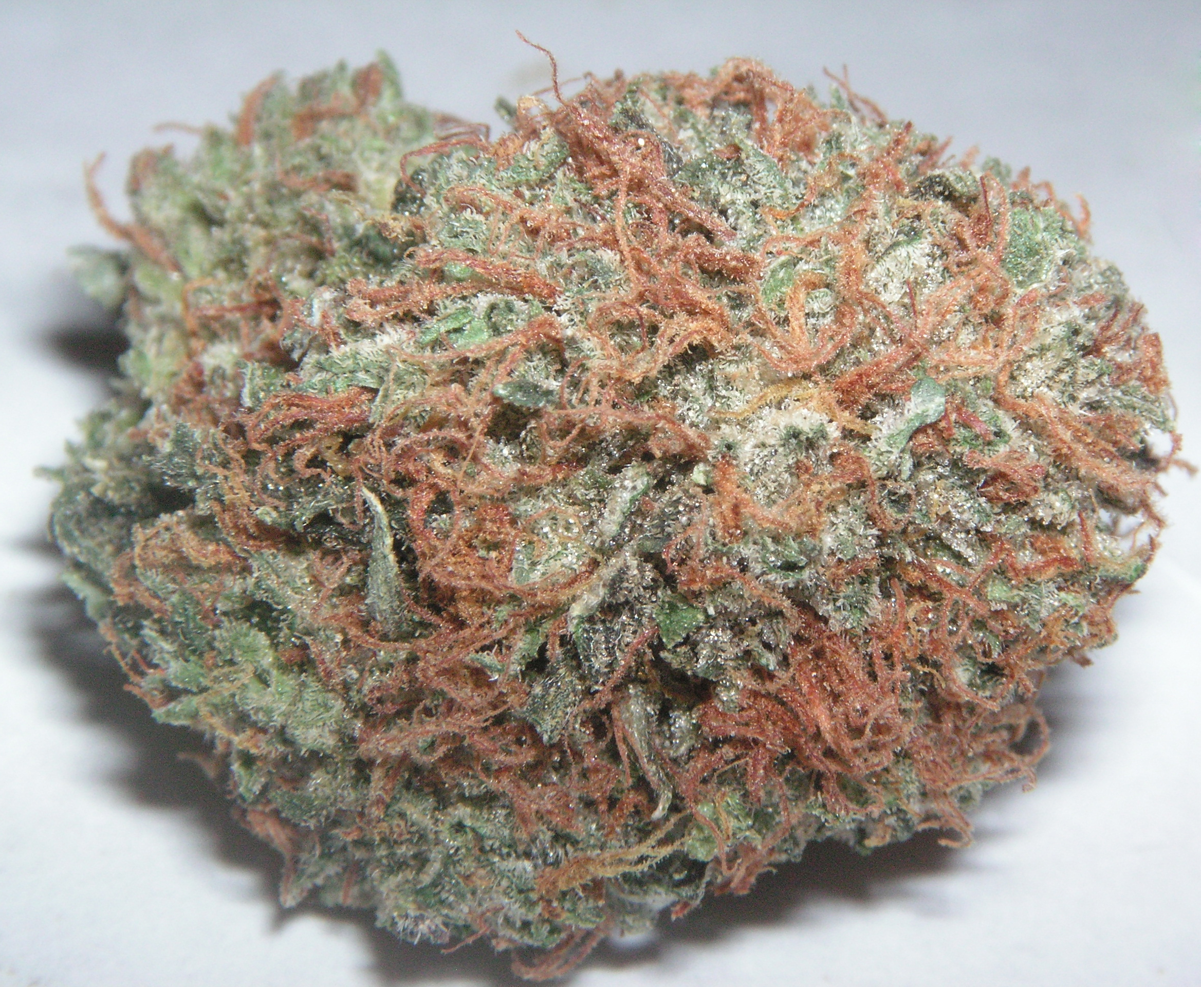 A marijuana "bud" nugget (FILE PHOTO)