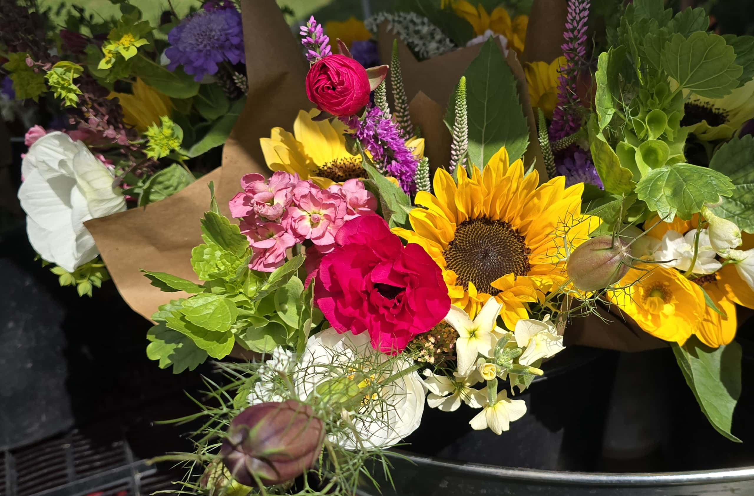 Saucon Valley Farmers Market SVFM