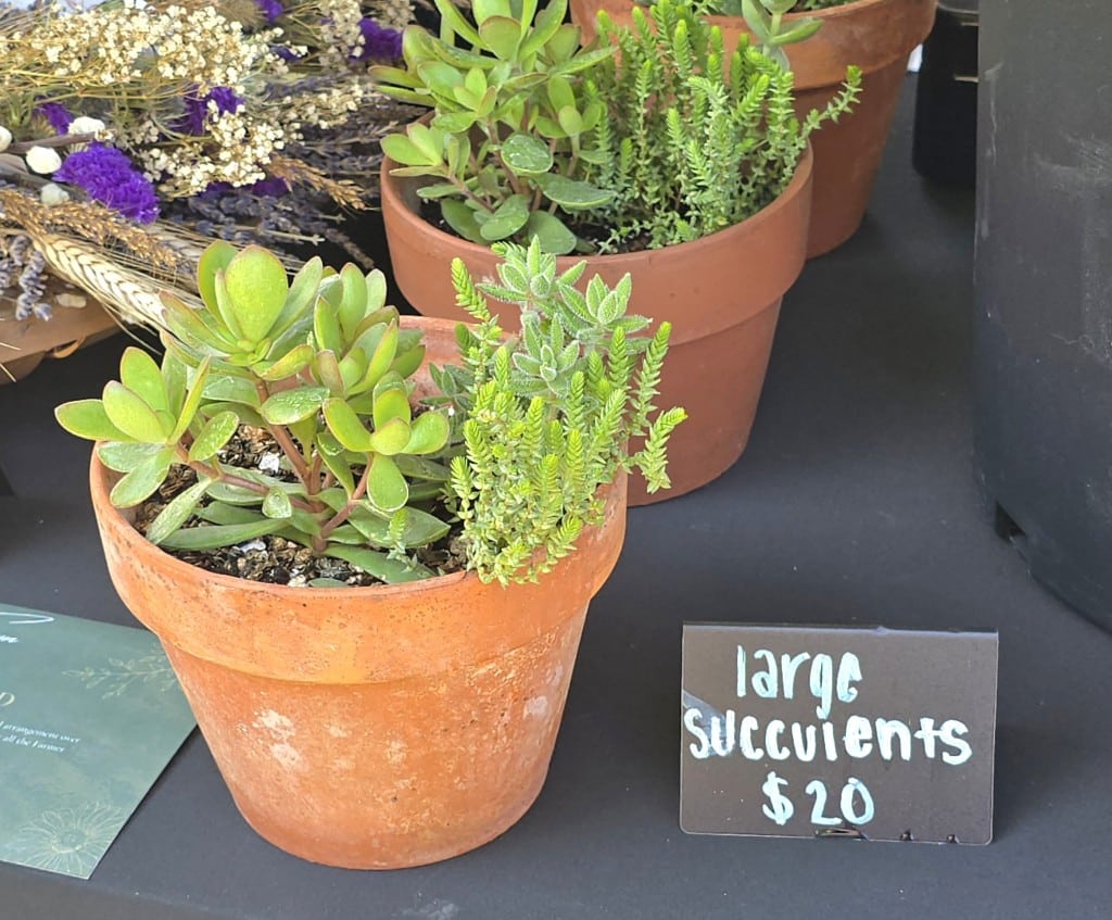 Farm Market at Passer