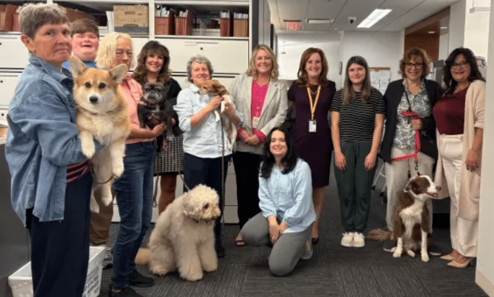 Bucks County Dogs Domestic Violence