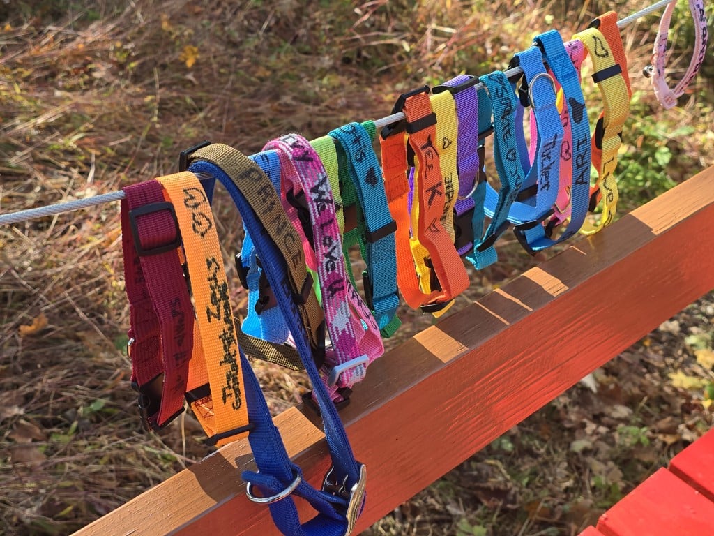 Rainbow Bridge Hellertown