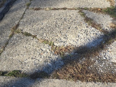 Sidewalk