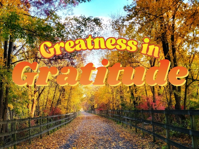 Greatness in Gratitude