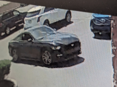 Dollar Tree Hit and Run