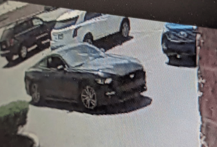 Dollar Tree Hit and Run