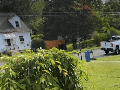 Lawnmower Theft