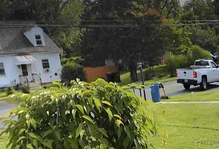 Lawnmower Theft