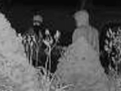 Springtown Suspects