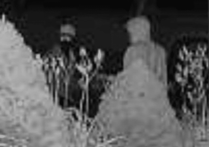Springtown Suspects