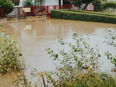 Storm Damage Scam