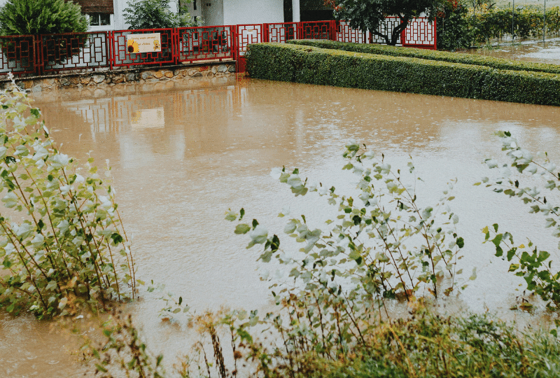Storm Damage Scam