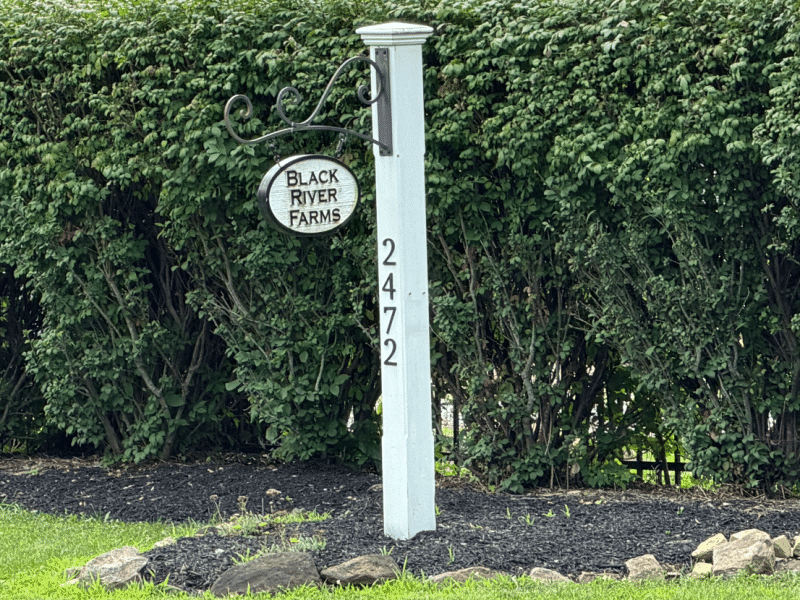 Black River Farms